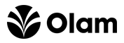 Weg